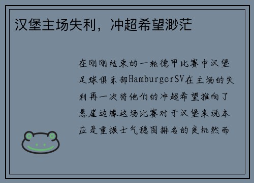 汉堡主场失利，冲超希望渺茫